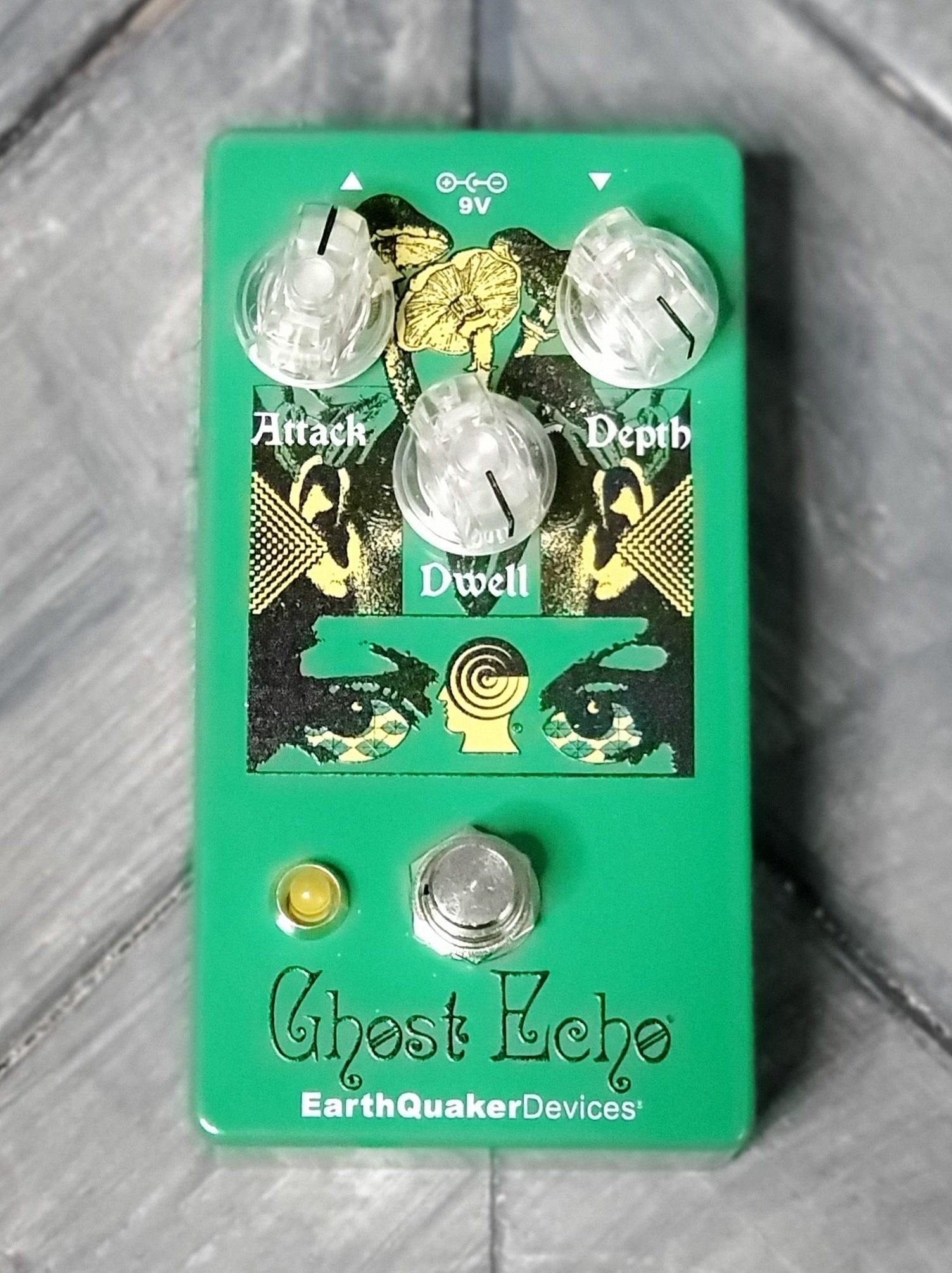 Earthquaker Devices Brain Dead Ghost Echo top of the pedal